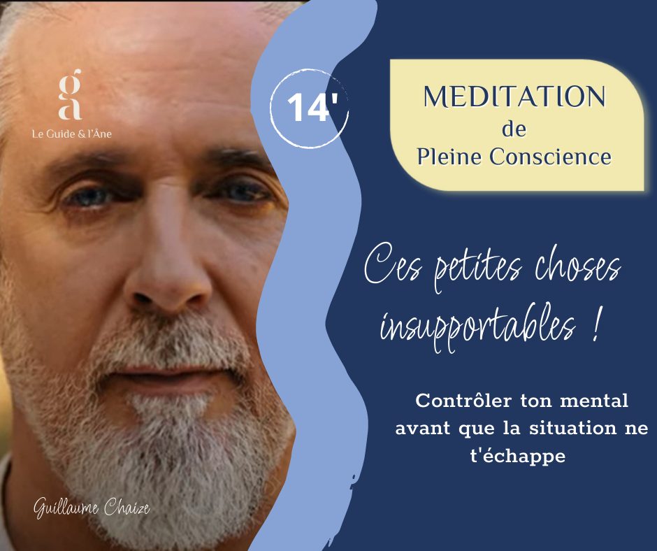 Ces petites choses insupportables ! (Publication Facebook (paysage))